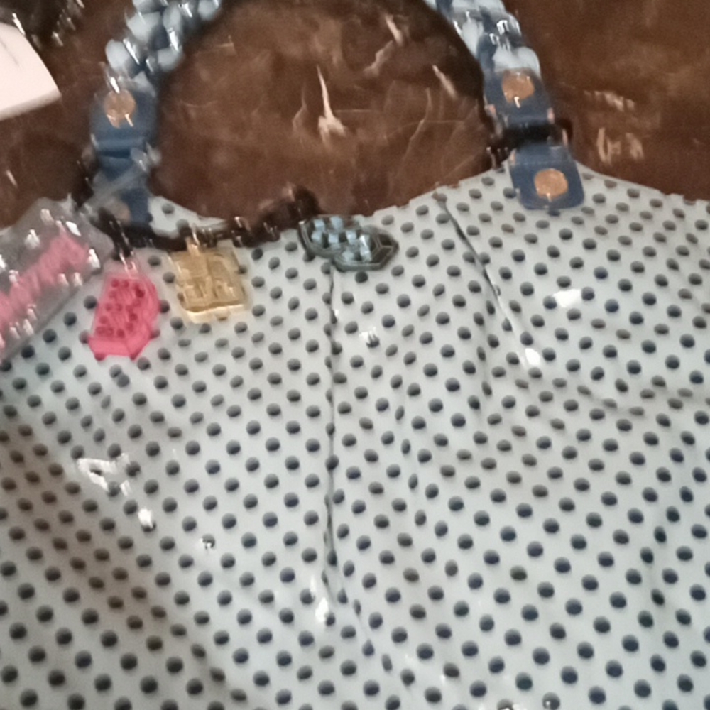 Betsy Johnson bag